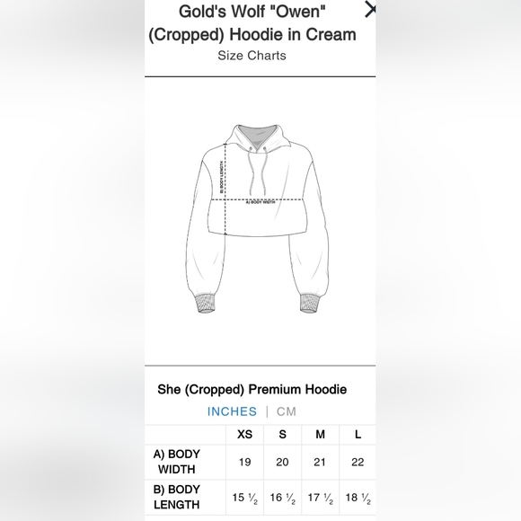 Darc Sport "Gold's Wolf" Owen (Cropped) Hoodie - Picture 15 of 16